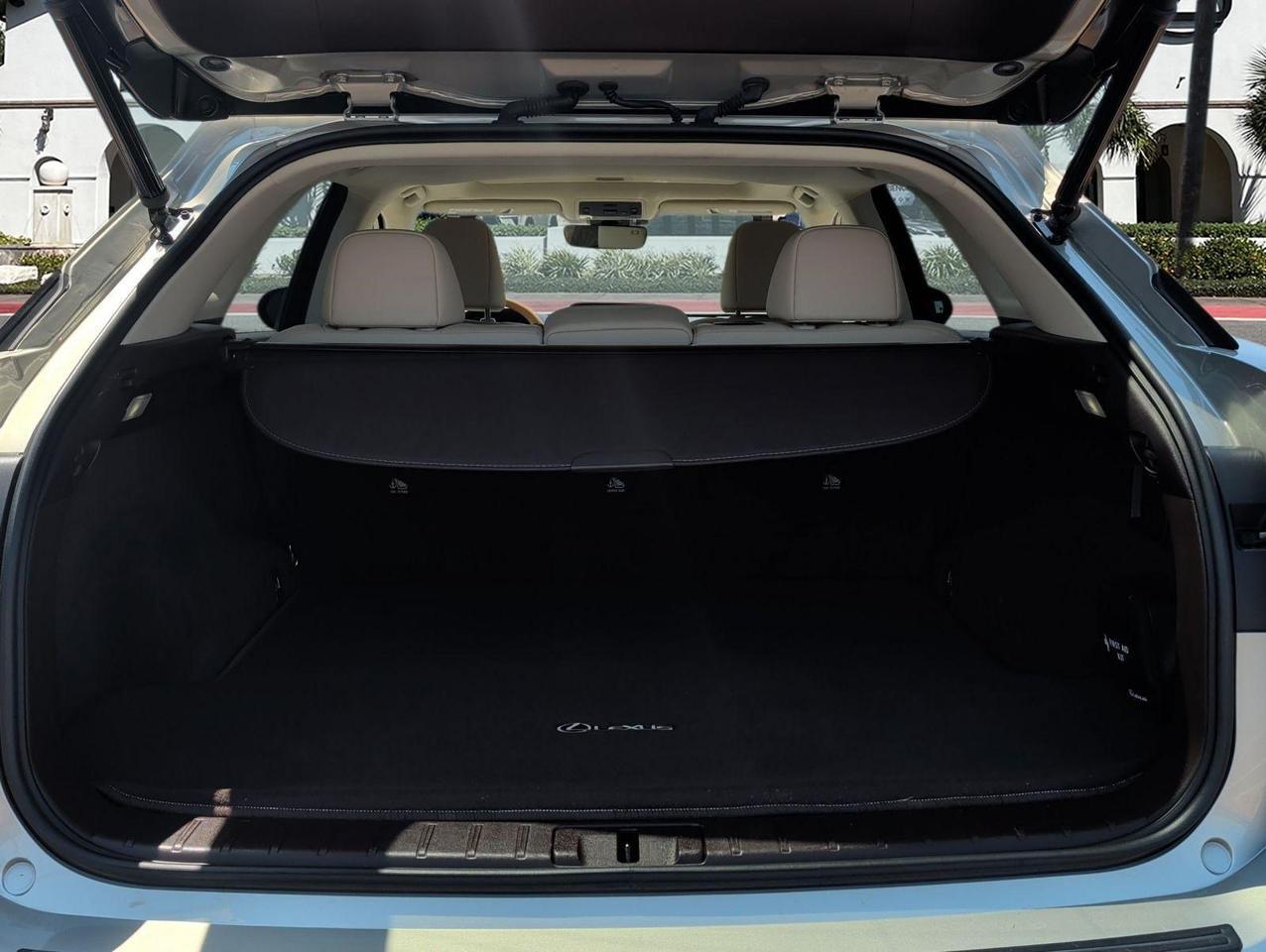 2020 Lexus RX 350 San Juan TX