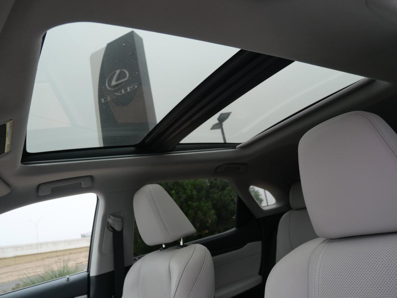 2020 Lexus RX 350 San Juan TX