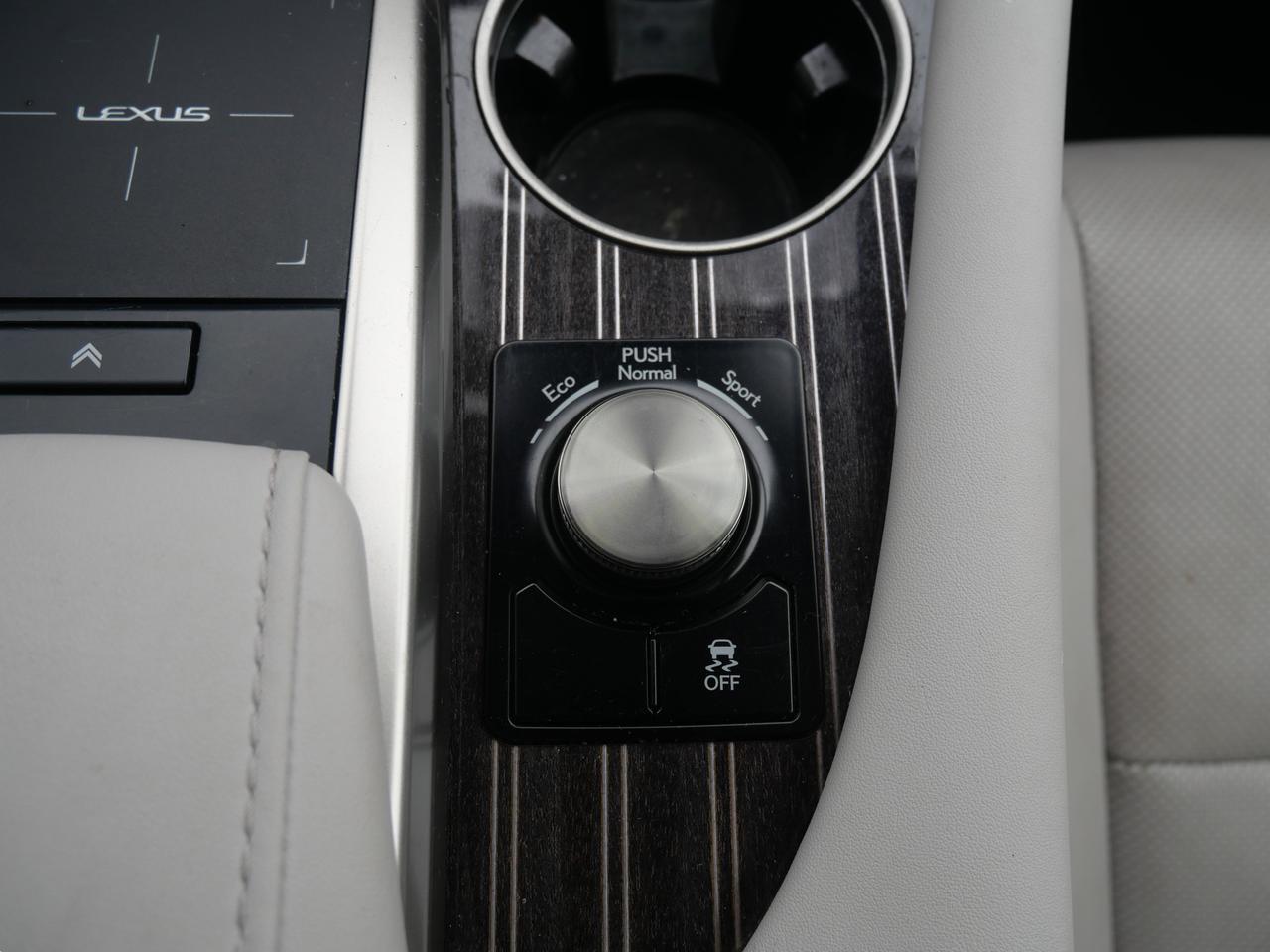 2020 Lexus RX 350 San Juan TX