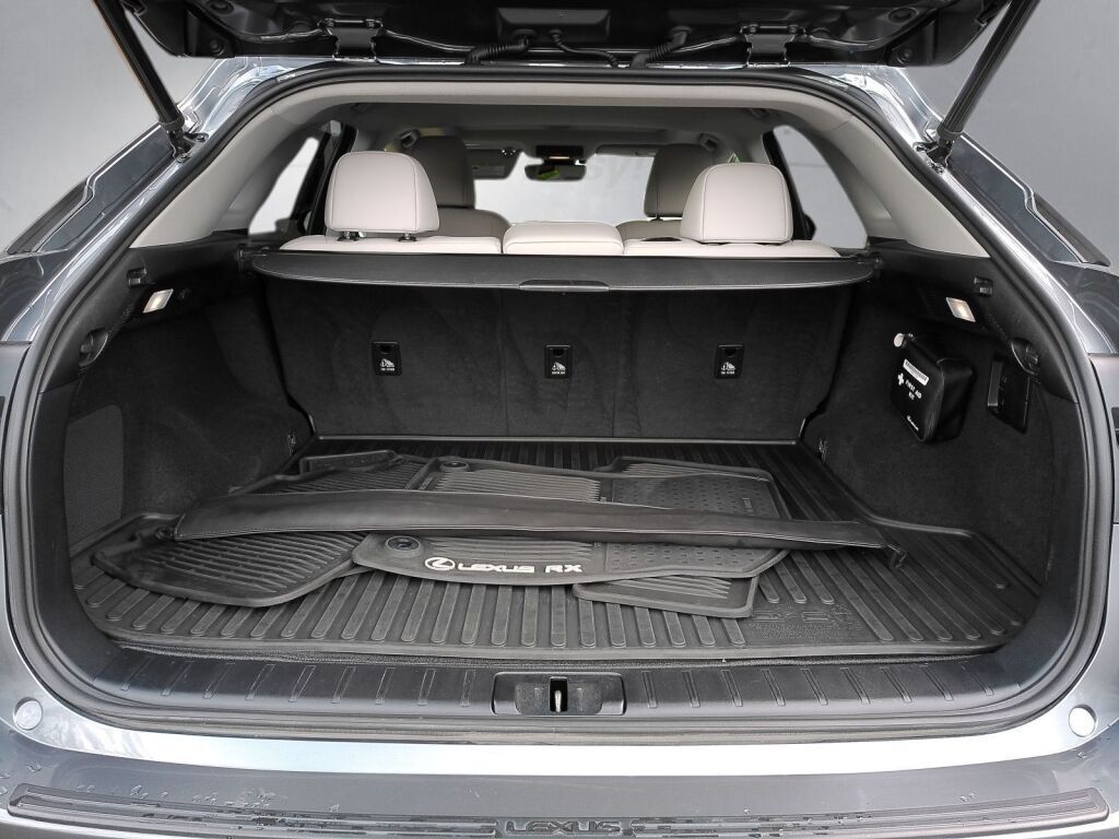 2020 Lexus RX 350 Richmond VA