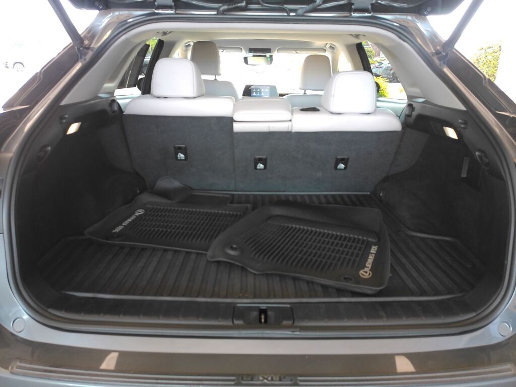 2020 Lexus RX 350 Richmond VA