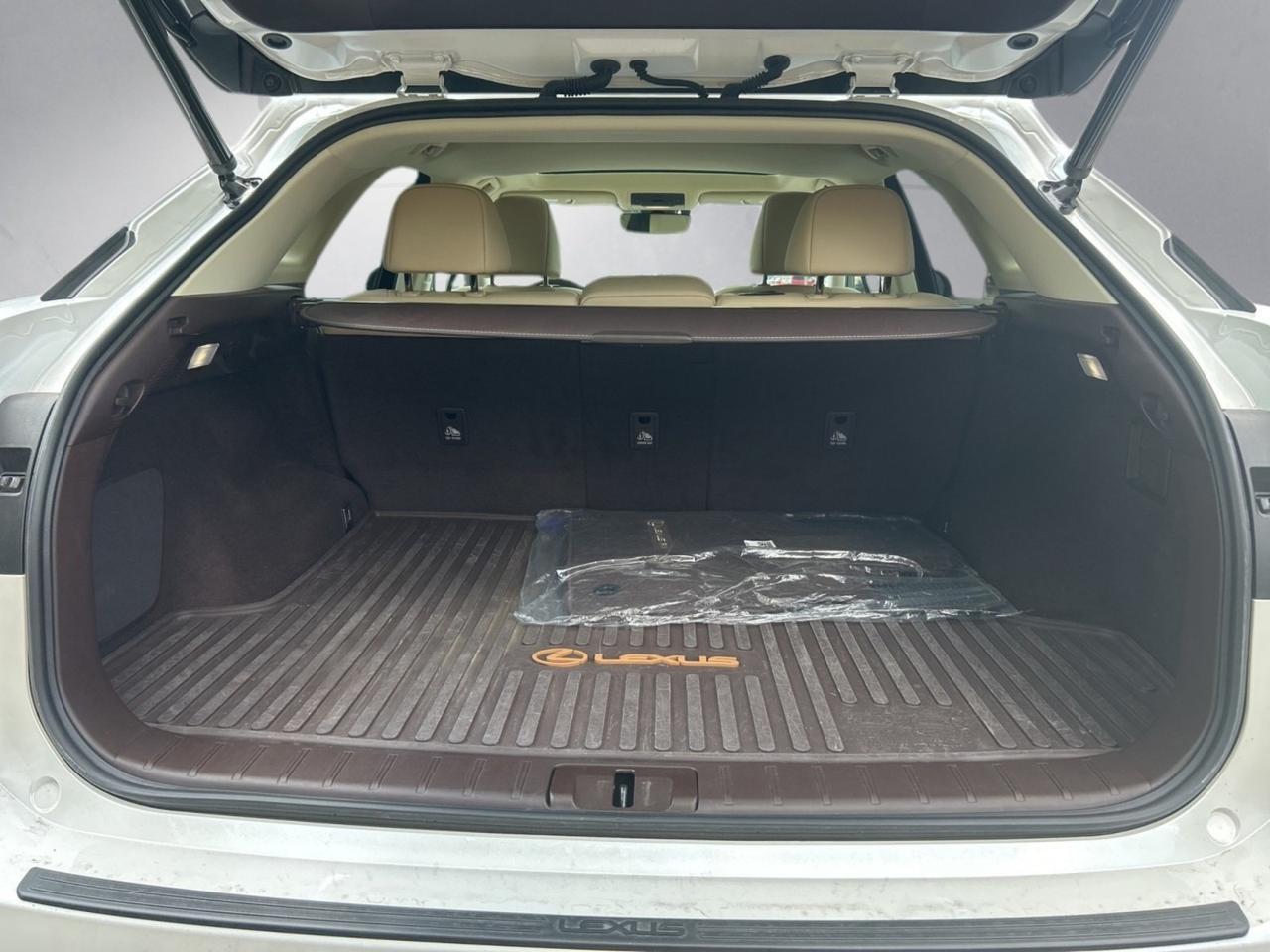 2020 Lexus RX 350 Ashland VA
