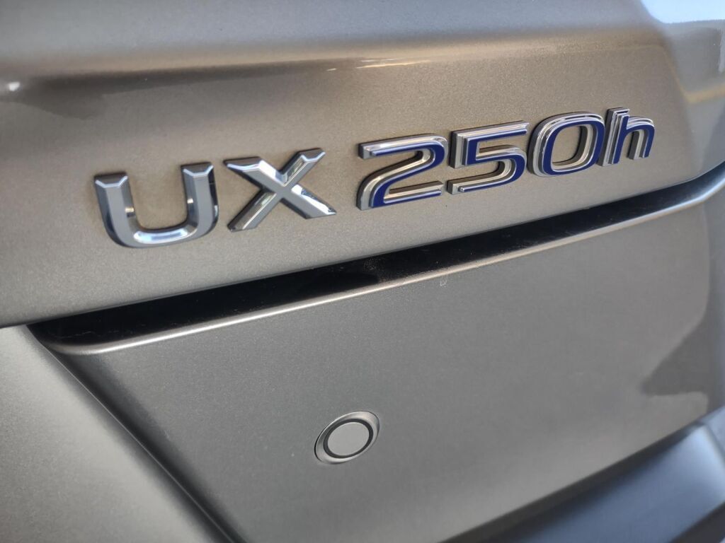 2020 Lexus UX 250h Base Richmond VA