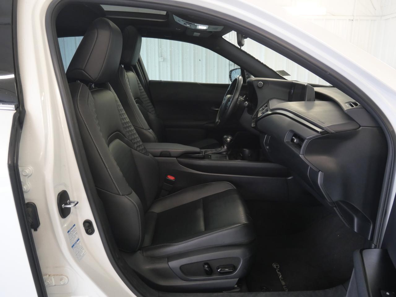 2020 Lexus UX 250h San Juan TX