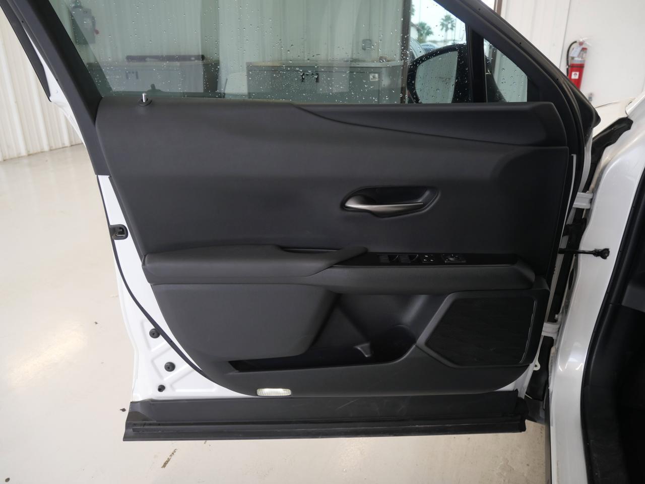 2020 Lexus UX 250h San Juan TX