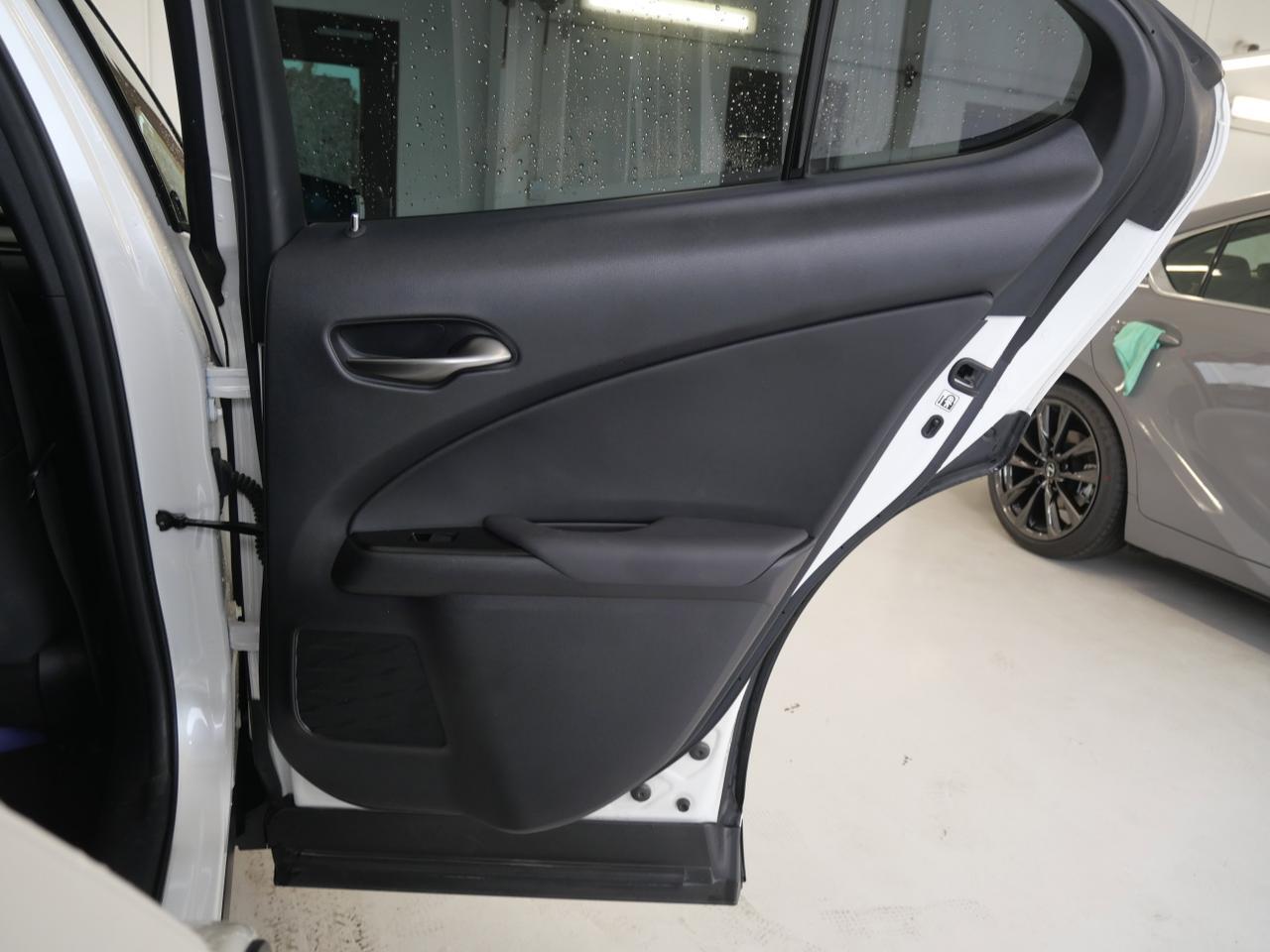 2020 Lexus UX 250h San Juan TX