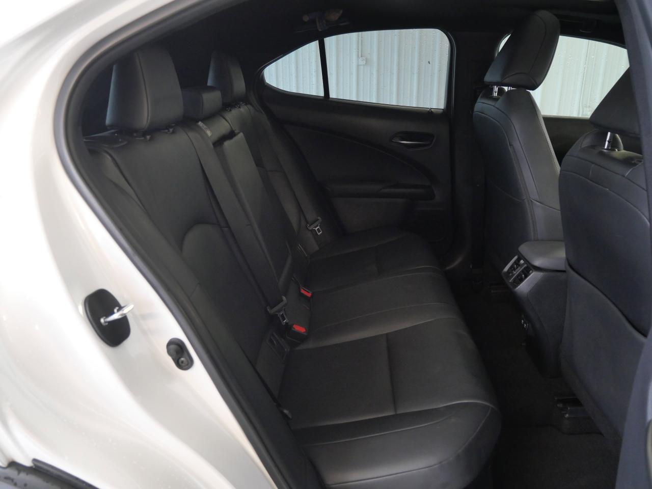 2020 Lexus UX 250h San Juan TX