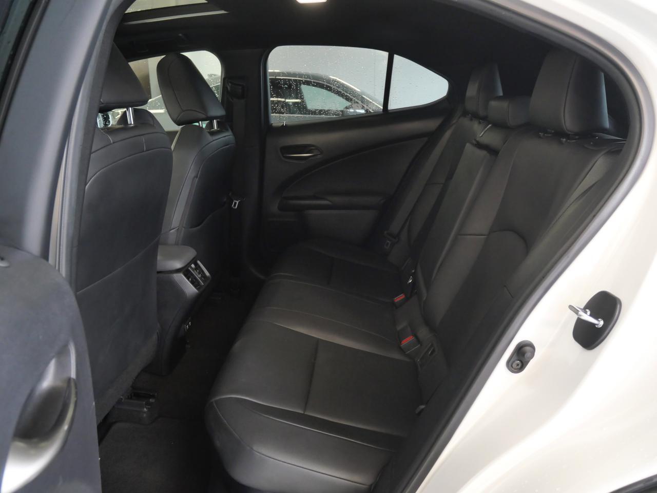 2020 Lexus UX 250h San Juan TX