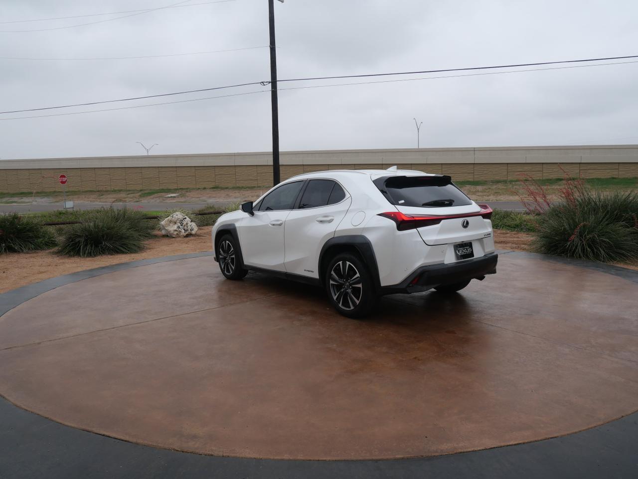 2020 Lexus UX 250h San Juan TX