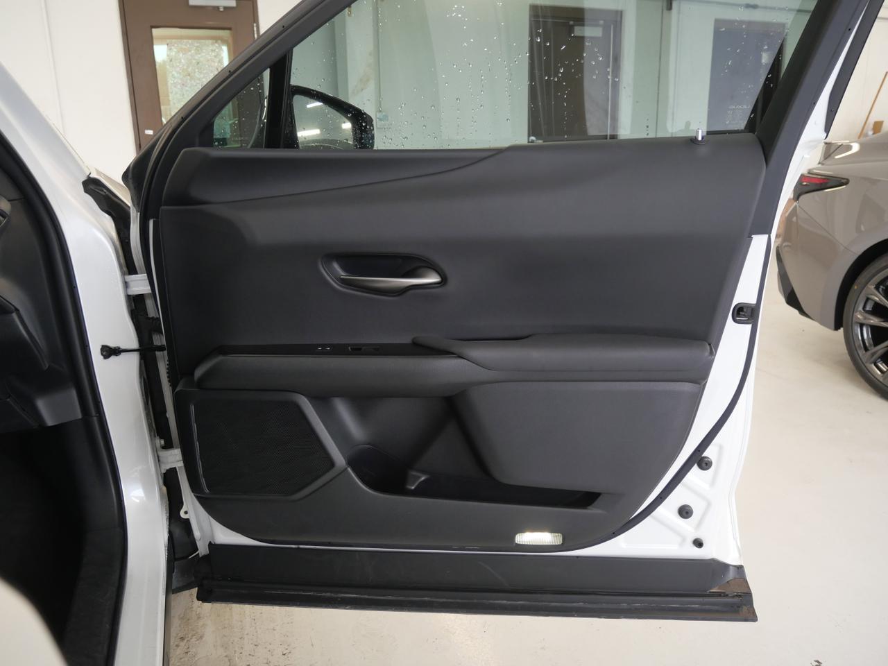 2020 Lexus UX 250h San Juan TX