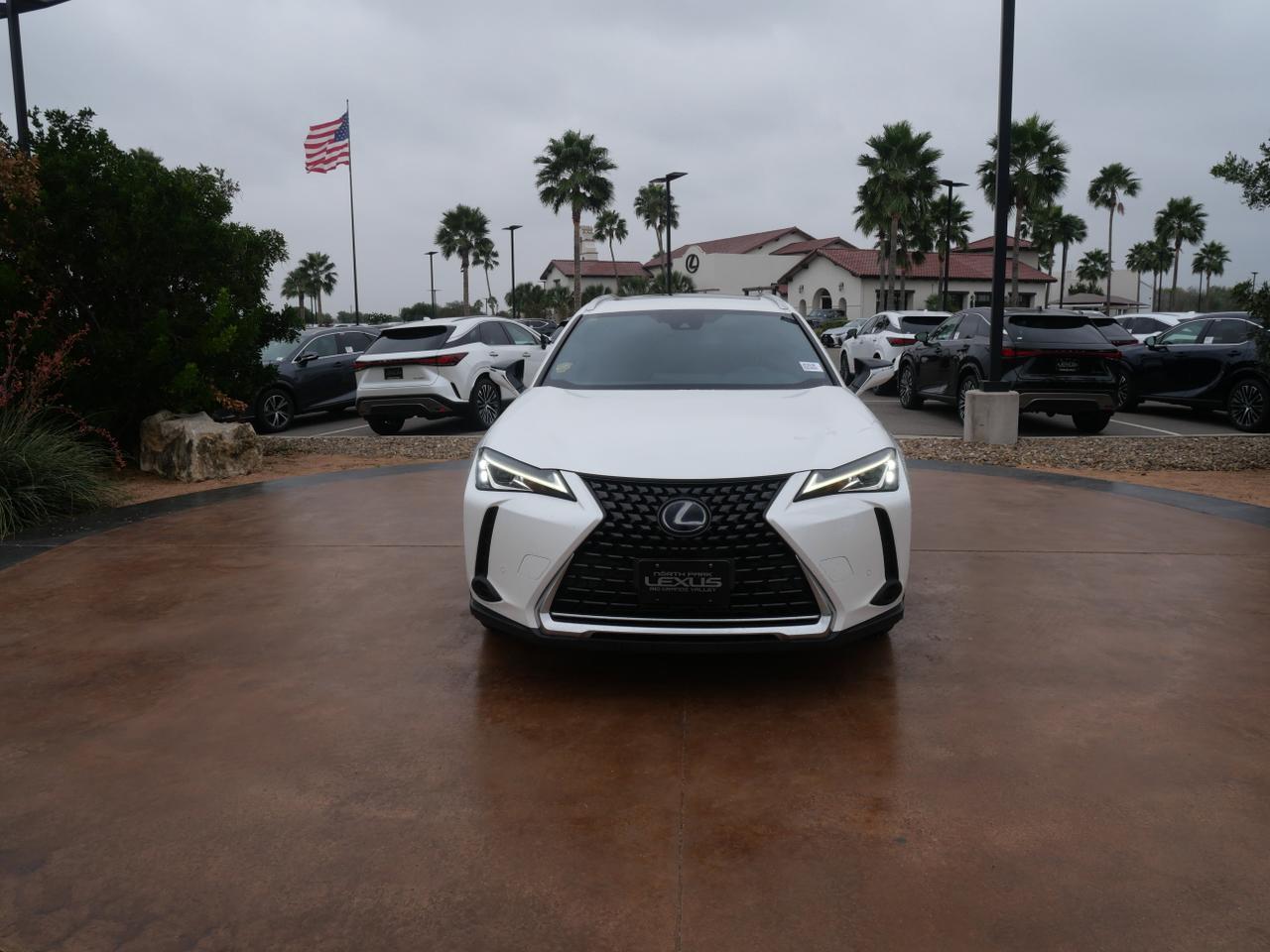 2020 Lexus UX 250h San Juan TX