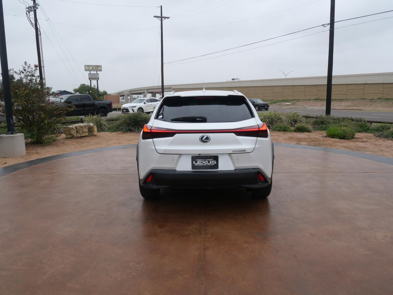 2020 Lexus UX 250h San Juan TX