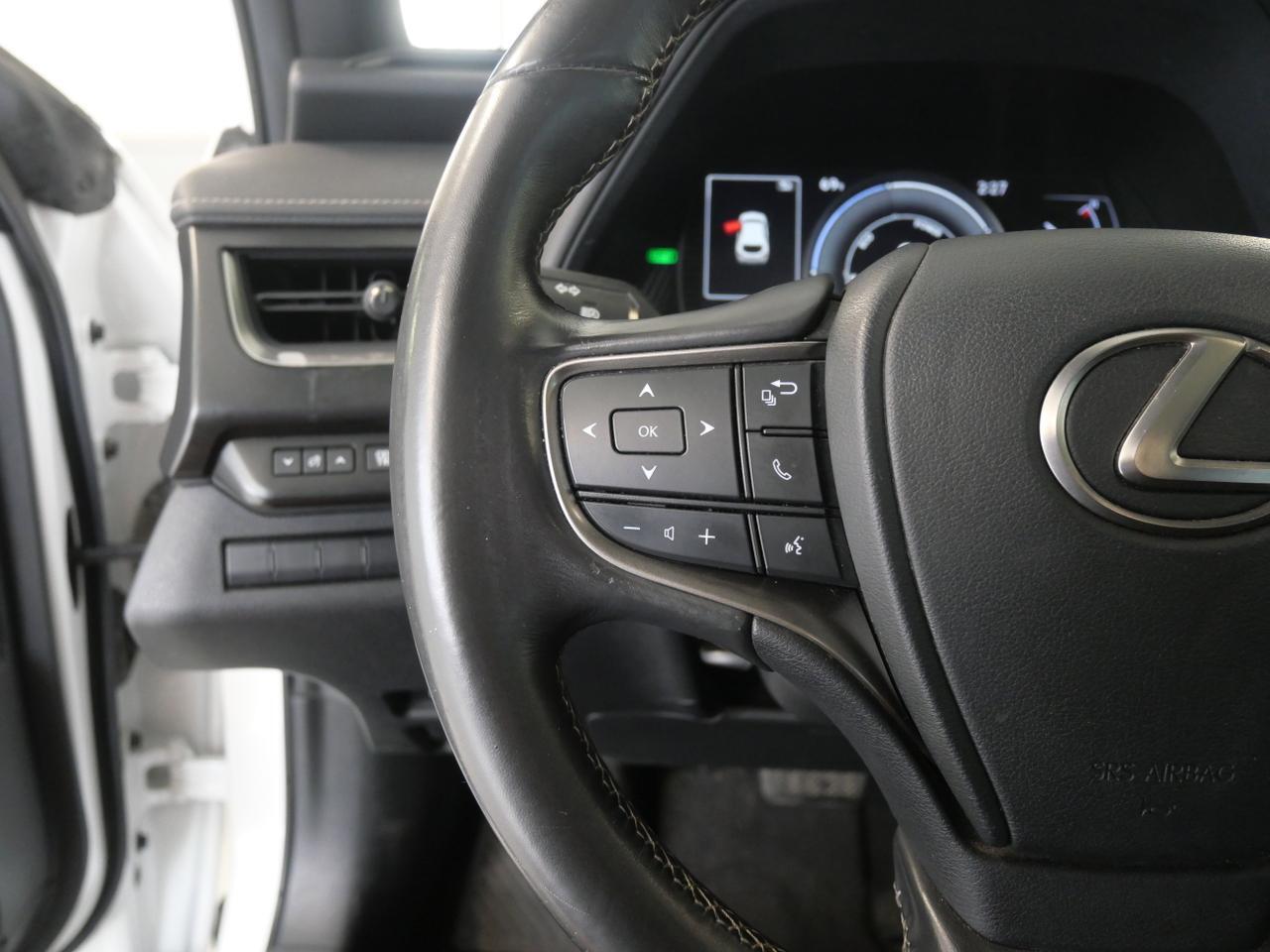 2020 Lexus UX 250h San Juan TX