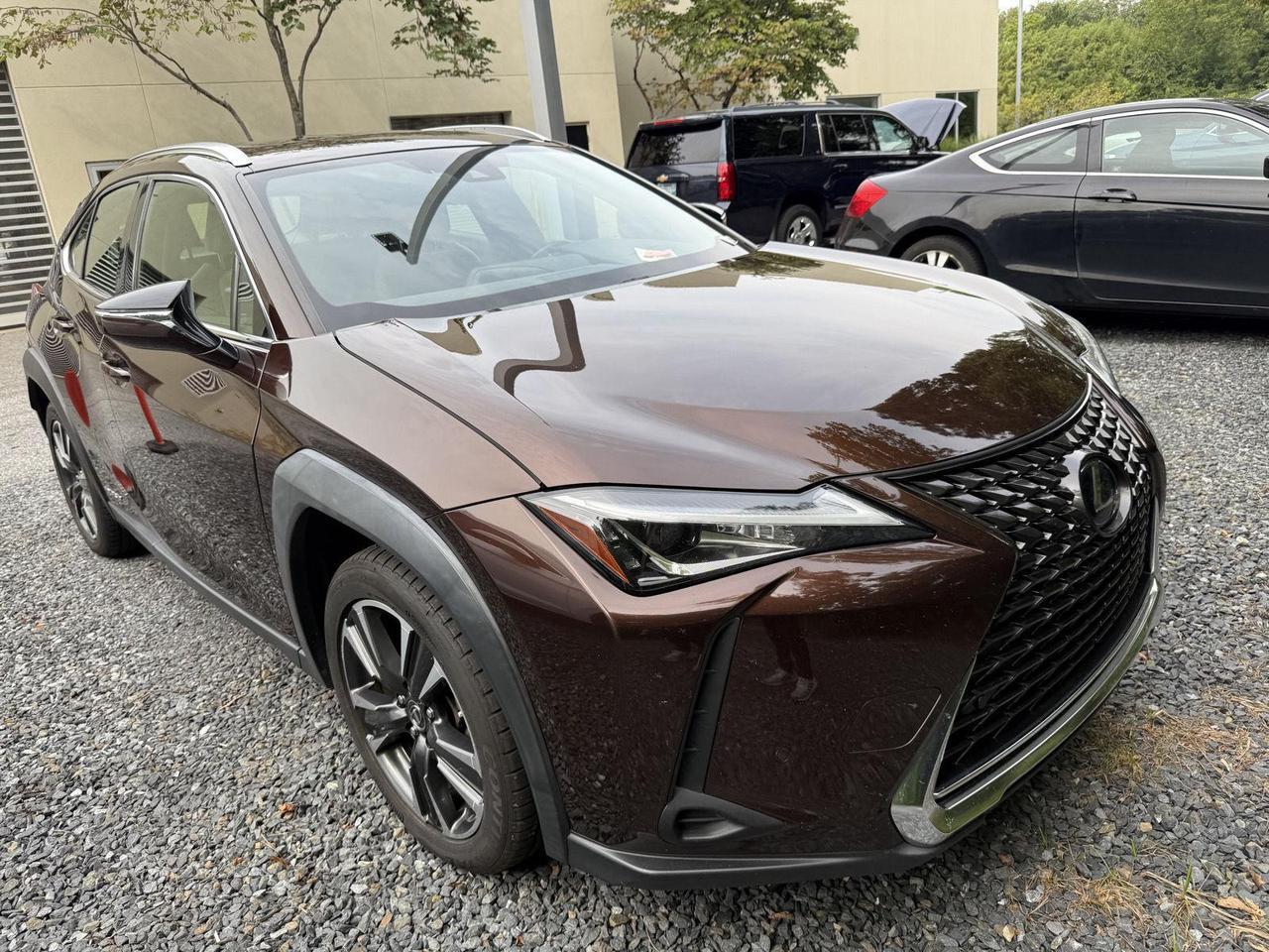2020 Lexus UX 250h