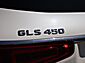 2020 Mercedes-Benz GLS GLS 450 Oshkosh WI