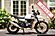 2020 Royal Enfield Himalayan ABS Boston MA