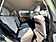 2020 Subaru Forester PREMIUM Austin TX