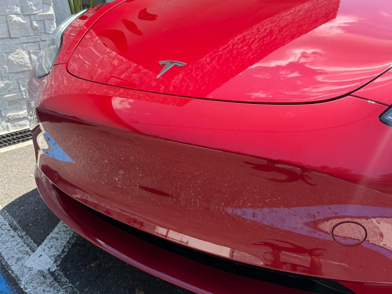 2020 Tesla Model 3 Standard Range Plus RWD Jacksonville FL