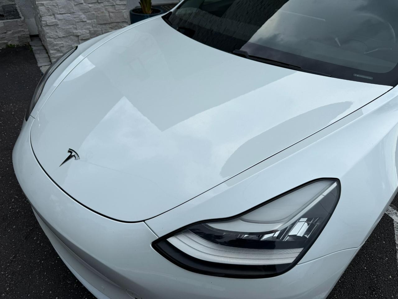 2020 Tesla Model 3 Standard Range Plus RWD Jacksonville FL