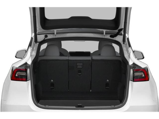 2020 Tesla Model Y Long Range Hurst TX