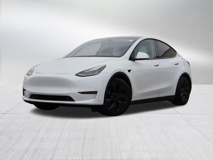 2020 Tesla Model Y Performance Oshkosh WI