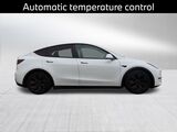 2020 Tesla Model Y Performance Oshkosh WI