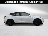 2020 Tesla Model Y Performance Oshkosh WI