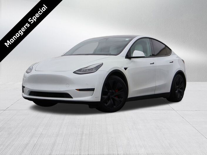 2020 Tesla Model Y Performance Oshkosh WI