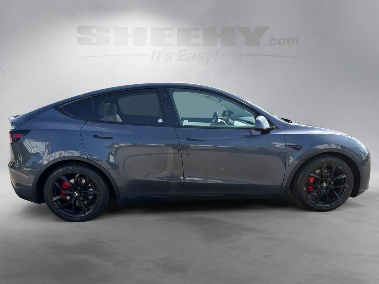 2020 Tesla Model Y Performance Ashland VA