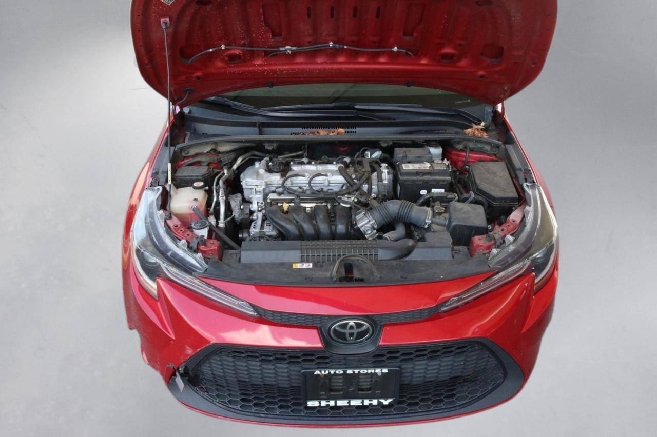2020 Toyota Corolla LE Fredericksburg VA