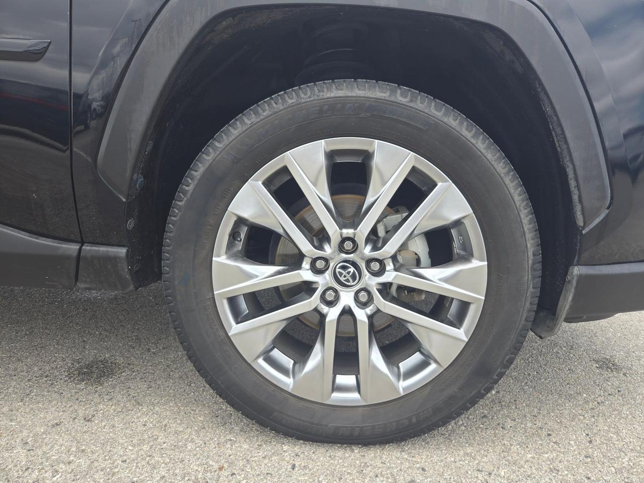 2020 Toyota RAV4 XLE Premium Castroville TX