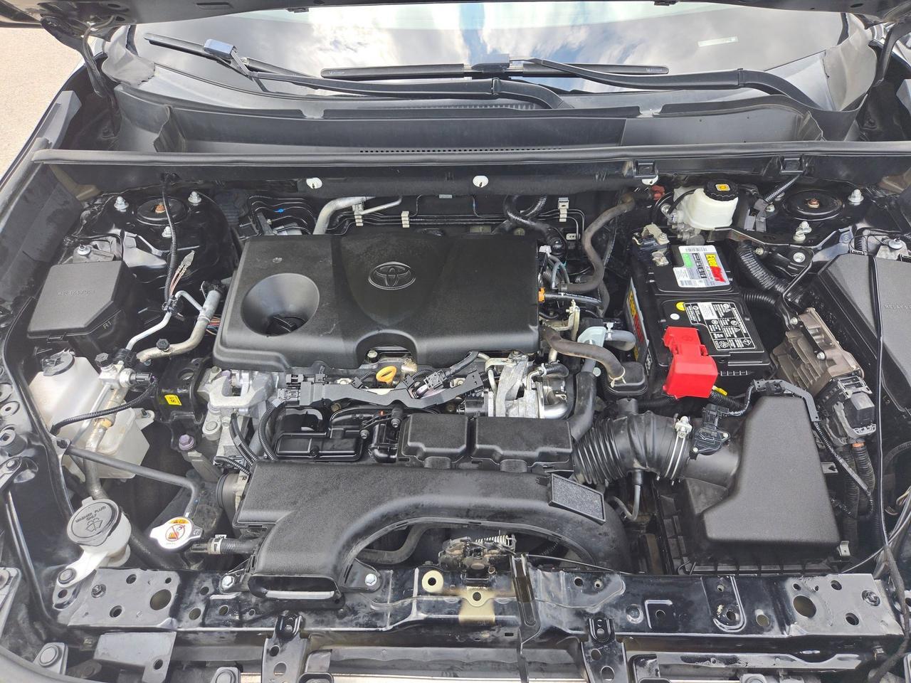 2020 Toyota RAV4 XLE Premium Castroville TX
