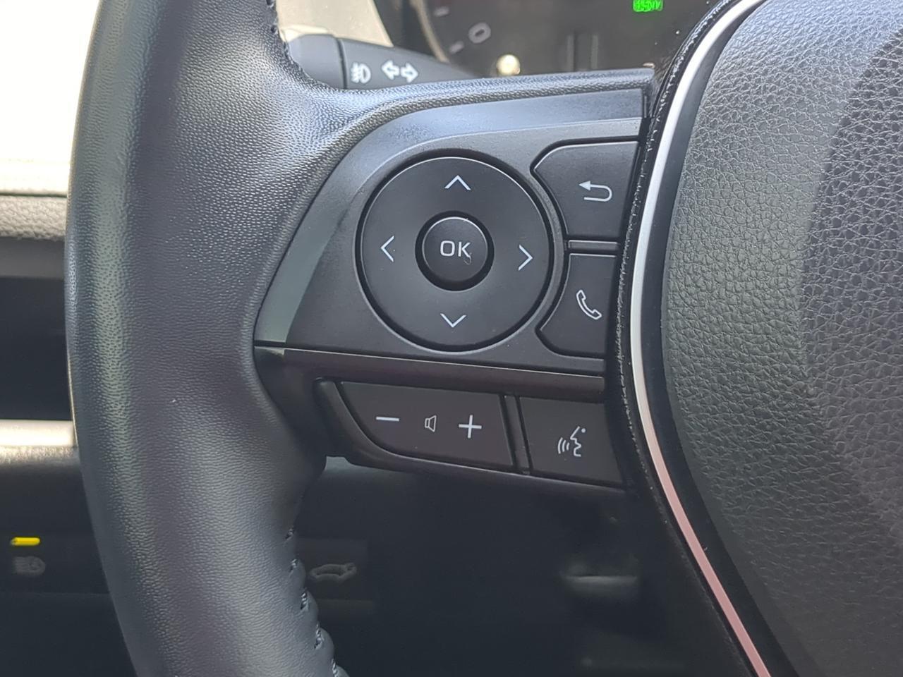 2020 Toyota RAV4 XLE Premium Winder GA