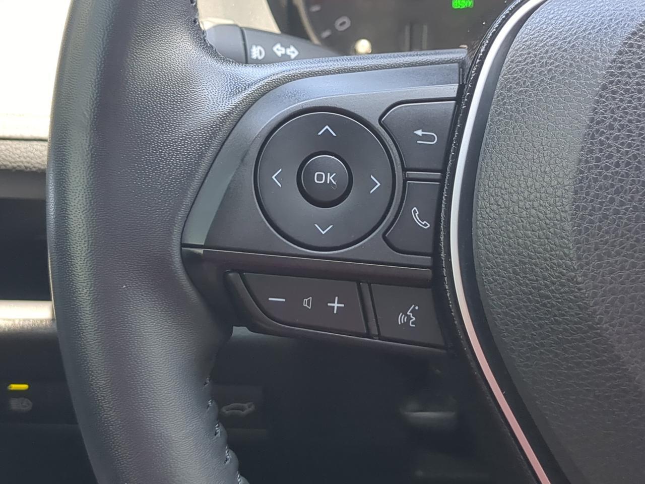 2020 Toyota RAV4 XLE Premium Winder GA