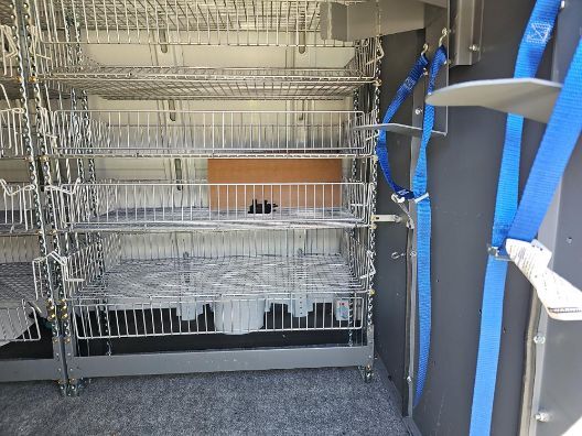 2021 Chevrolet Express Cargo RWD 2500 Regular Wheelbase WT Charlotte NC