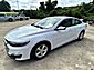 2021 Chevrolet Malibu 1FL Meridian MS