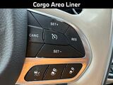 2021 Chrysler Pacifica Hybrid Limited Oshkosh WI