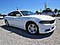 2021 Dodge Charger SXT Wilson NC