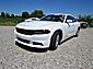 2021 Dodge Charger SXT Wilson NC