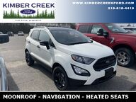 2021 Ford EcoSport SES Pine River MN 2021 Ford EcoSport SES Pine River MN