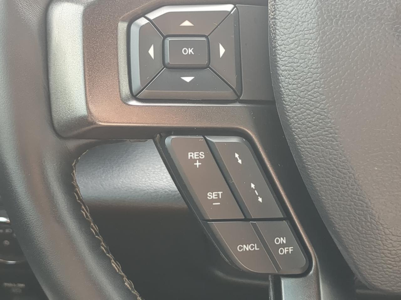 2021 Ford Expedition Limited Appleton WI