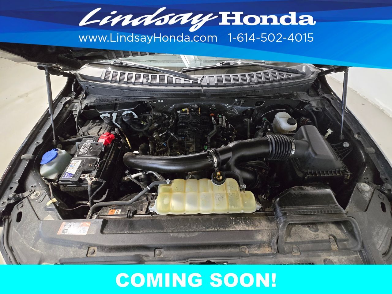 2021 Ford Expedition Max Limited Columbus OH