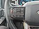 2021 Ford F-150 4x4 SuperCrew Platinum Fond du Lac WI
