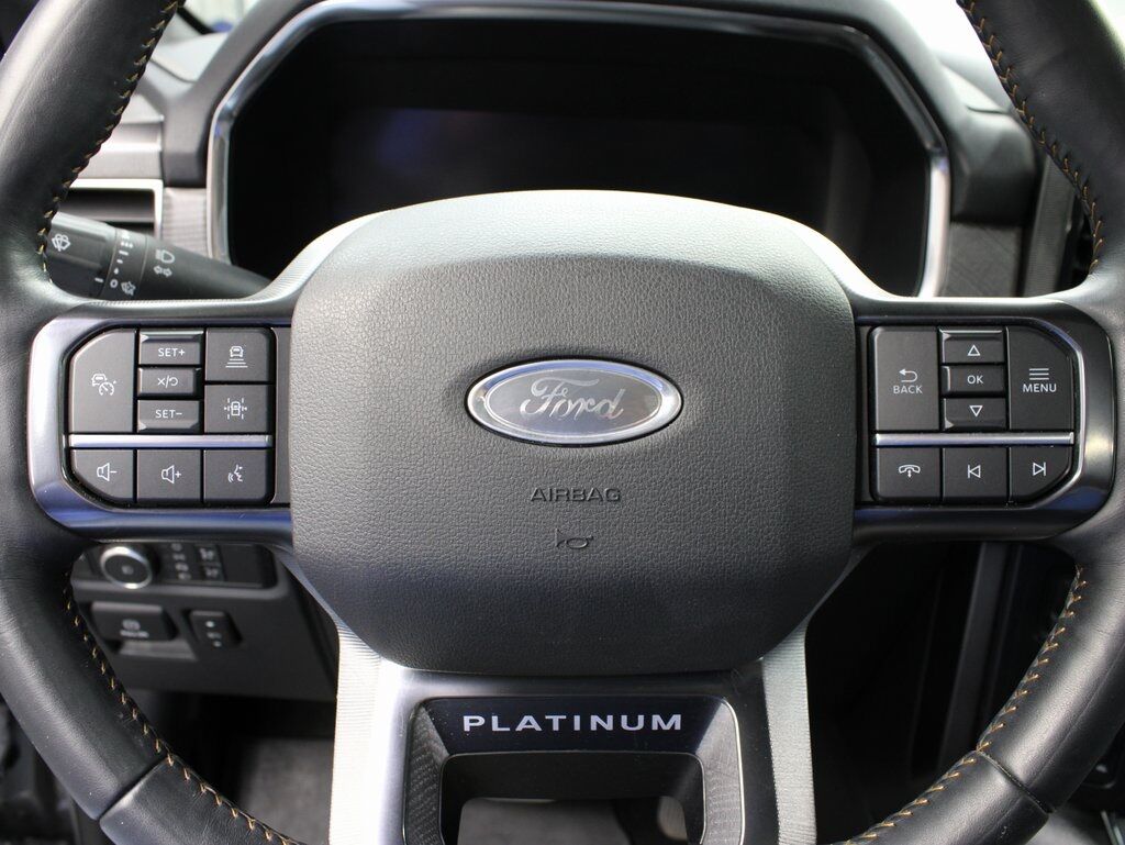 2021 Ford F-150 4x4 SuperCrew Platinum Fond du Lac WI