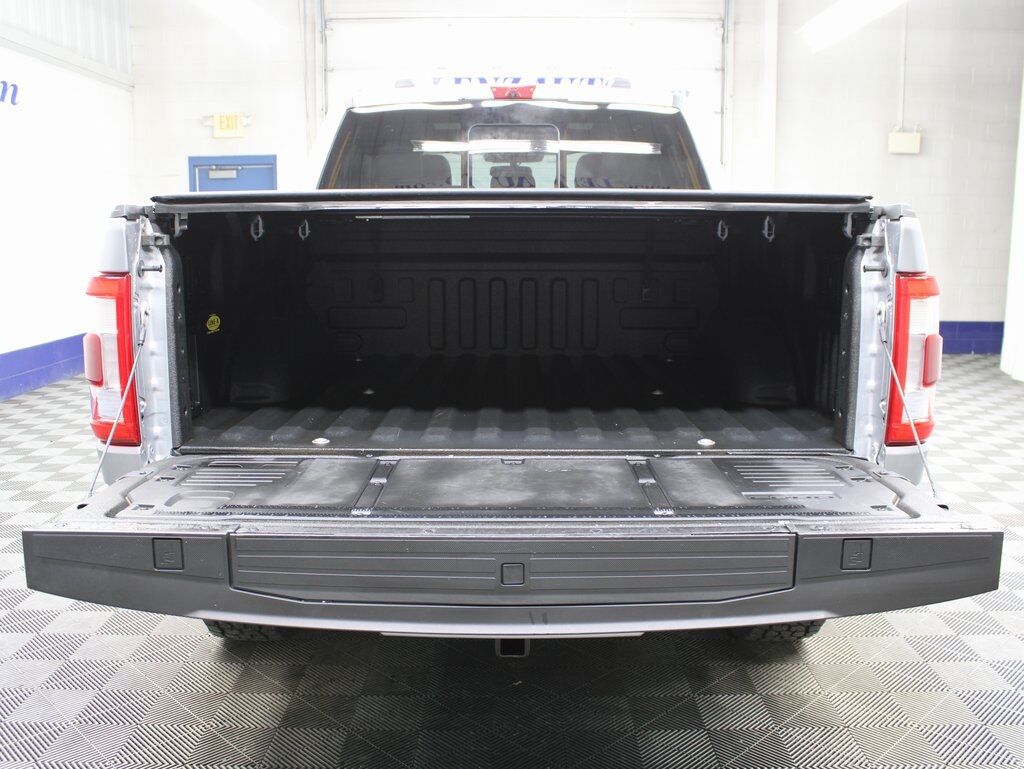 2021 Ford F-150 4x4 SuperCrew Platinum Fond du Lac WI
