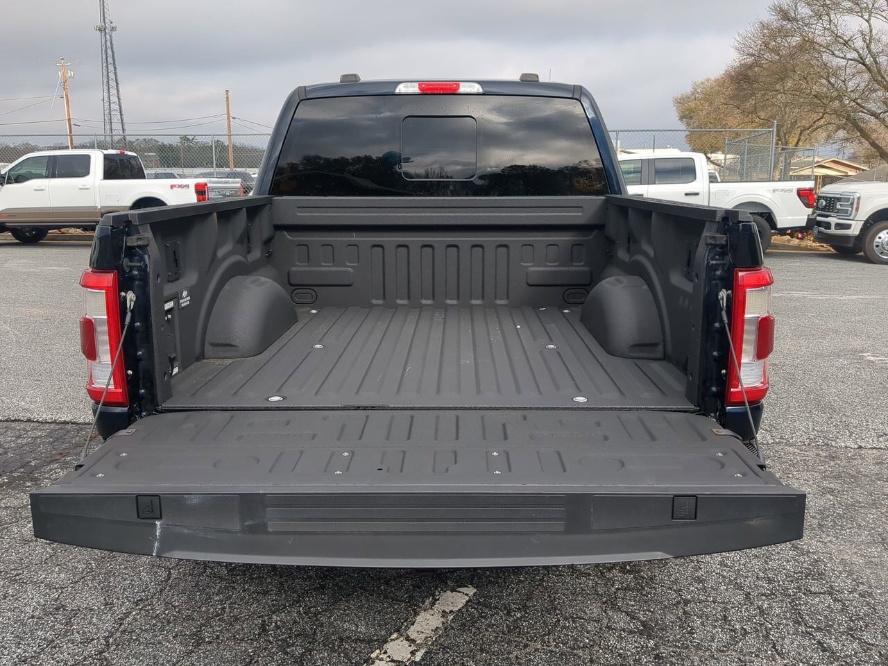 2021 Ford F-150 King Ranch Winder GA