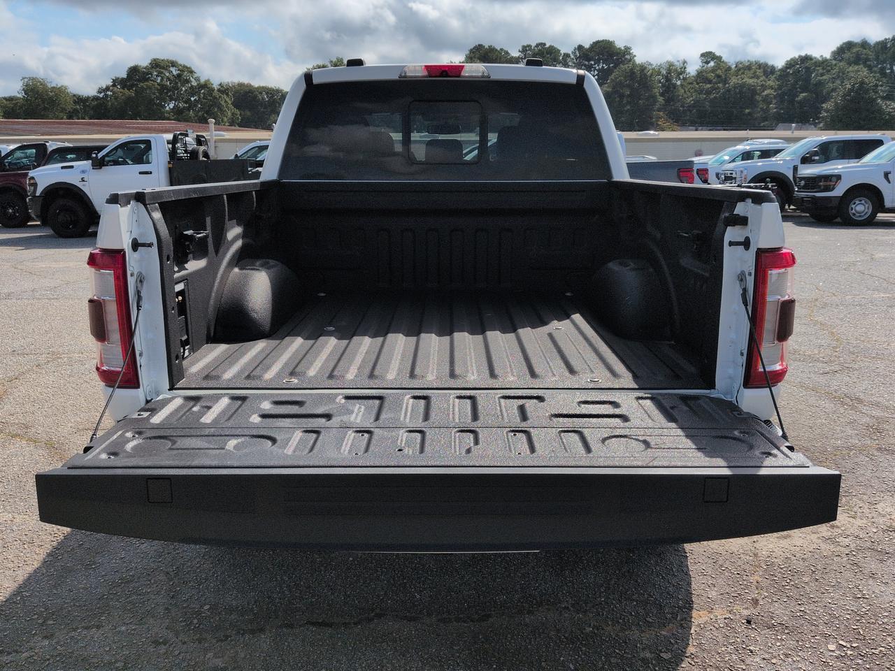 2021 Ford F-150 LARIAT Appleton WI