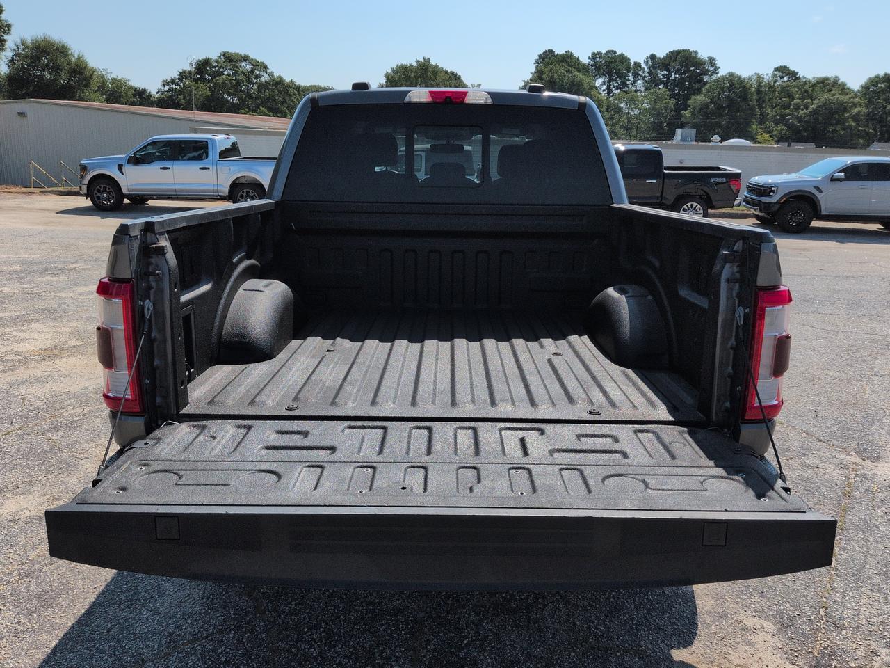 2021 Ford F-150 LARIAT Winder GA