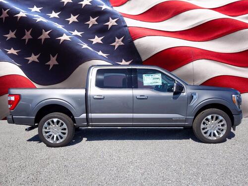 2021 Ford F-150 Limited Tampa FL 2021 Ford F-150 Limited Tampa FL