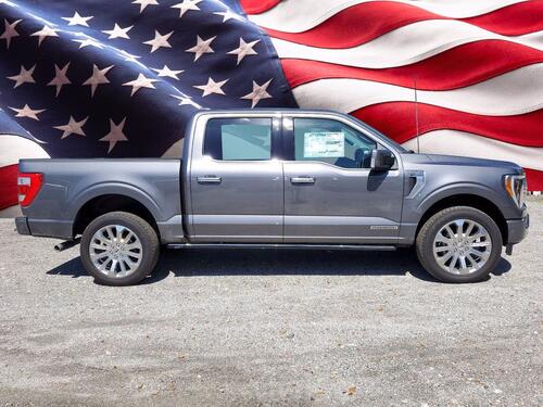 2021 Ford F-150 Limited Tampa FL 2021 Ford F-150 Limited Tampa FL